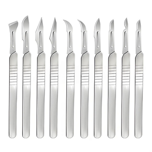 Ensemble de lames de scalpel chirurgical DAUD MED INTERNATIONAL, tailles # 10/ # 11/ # 15/ # 21/ # 22/ # 24 instruments manuels en acier inoxydable stérilisés pour - Product Image 1