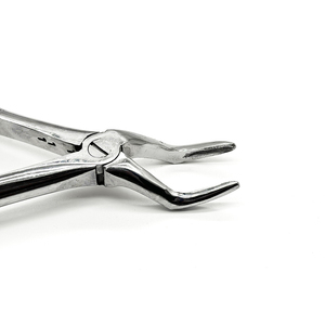 Juego de Fórceps para Extracción Dental, 10 Piezas, Acero Inoxidable, Mínimamente Invasivo, Instrumentos de Ortodoncia para Adultos - Product Image 4