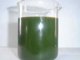 RUBBER FLEX PRO OIL / PREMIUM PROCESSING OIL FOR RUBBER INDUSTRY