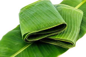 เวียดนามส่งออกใบกล้วยแช่แข็ง 100% ธรรมชาติ เป็นมิตรกับสิ่งแวดล้อม คุณภาพสูง ราคาแข่งขันได้ - Product Image 6