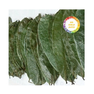 Feuilles de corossol séchées en gros, feuilles vertes tropicales traitées naturellement pour les marchés d'exportation - Product Image 1