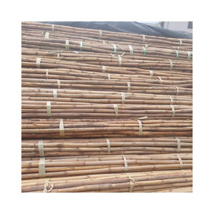 หวายคุณภาพสูงและทนทาน: วัตถุดิบที่ดีที่สุดสำหรับการผลิตงานฝีมือแบบทอและออกแบบเฟอร์นิเจอร์สไตล์วินเทจตามสั่ง - Product Image 1