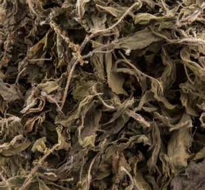 Sun-Dried Tulsi <b>Leaves</b> | Natural Ayurvedic Herb | Bulk Global Supply India - Product Image 3