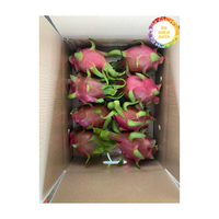 Vers Drakenfruit Van Vietnam Natuurlijk Tropisch Product Voor Export Retail En Levering Van De Voedingsindustrie