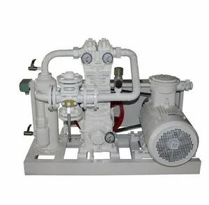 Compresor de pistón de gas natural de hidrógeno de amoníaco sin aceite de gran oferta compresor alternativo de descarga a la venta