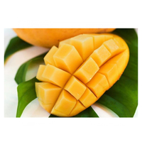 Best verkochte Herbojit International Alphonso Mango Super Grade verse verpakking 3kg Authentieke natuurlijke smaak Beschikbaar