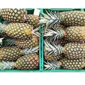 Wholesale Price Sweet MD2 Pineapple Fruits- Fresh Pineapples Juicy Fresh Exporter