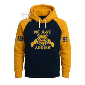 HBCU North | Carolina A&T | NC A&T Wholesale Collegiate Apparel Unisex Embroidered Pullover <b>Hoodie</b> College <b>Hoodie</b> Sweatshirts - Product Image 1