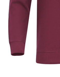 เสื้อสวมหัวปักลายสำหรับผู้ชายเสื้อแนวสตรีทผ้าโพลีเอสเตอร์460แบบสั่งทำลายโลโก้ GSM heavyweight แบบเรียบ - Product Image 2