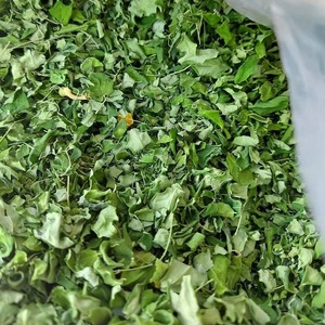 FEUILLES D'OLEIFERA DE MORINGA NATURELLES SÉCHÉES/COULEUR VERTE PROPRE/PRÊT POUR LE THÉ OU L'UTILISATION EN CAPSULE - Product Image 5