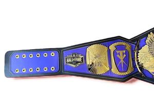 Ceintures de championnat de lutte, trophées, médailles et récompenses - Symbole ultime de la victoire et de l'excellence en cuivre/alliage de cuivre - Product Image 5