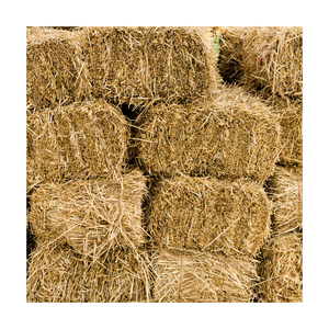 Foin de luzerne à un prix très bon marché/Qualité Rhodes Foin d'herbe Luzerne Alimentation animale Alfafa Hay pour l'alimentation animale - Product Image 1