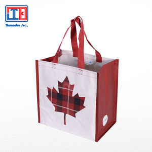 Bolsa tejida de PP ecológica Premium Thuan Duc JSC Fabricante de Vietnam - Product Image 1