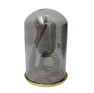 Iluminación decorativa hierro redondo linterna Lvory PC vela linterna para decoraciones de Halloween hecho a mano al por mayor a granel - Product Image 3