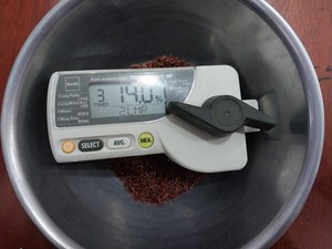 High Quality Red <b>Rice</b> Directly Exported From South Mekong Factory for European Market - Product Image 6