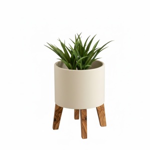 Lot de 2 jardinières modernes en métal avec supports couleur blanc cassé, décoratives pour intérieur et extérieur, en fer vert, pour la maison - Product Image 4