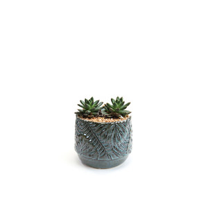 CYC3308BL - Bol en forme de fougère bleu azur lavé, très grand format - 7,8 L x 6,5 H - Product Image 6