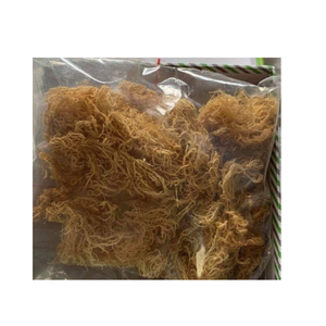 สาหร่าย Eucheuma cottonii แห้งดิบเก็บเกี่ยวจากพื้นที่ชายฝั่งทะเลที่สะอาดพร้อมส่ง - Product Image 1