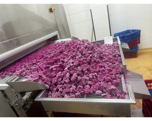 แก้วมังกรแช่แข็งผู้ส่งออกพิทยาแดงชิ้นเวียดนามมอบผลไม้มังกรแช่แข็งสำหรับการค้าผลไม้แช่แข็งทั่วโลก - Product Image 2