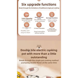 Cuociriso Automatico Intelligente a Doppia Vasca 220V, Multifunzione con Scocca in Plastica e Accessorio Paletta, Ideale per Hotel e Camper - Product Image 1