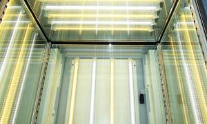 Laboratoire japonais de chambre de croissance de plantes à LED dimmable et bicolore pour instrument de test pour le contrôle de la température et de l'humidité - Product Image 2