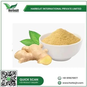 Herbojit International – Poudre de gingembre en gros fraîchement moulue et séchée, 25 KG, 100 % naturelle pour la transformation alimentaire et la santé - Product Image 4