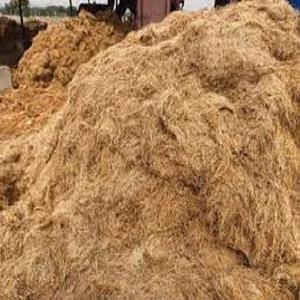 Fibre de coco traitée durable fibre de coco naturelle sans humidité idéale pour l'exportation industrielle et domestique - Product Image 2