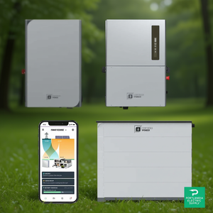 Sistema de Batería de Plomo-Ácido de 24.5kWh con Inversor de 7.6kW y Panel de Energía Inteligente ESS Fortress Power Avalon HV Pro, Interruptor de Transferencia de 200A - Product Image 2