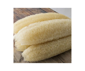 Best Selling Raw <b>Loofah</b> Sponge a Natural Material for Making Bath Sponge Handmade Sponge Made in Vietnam - Product Image 1