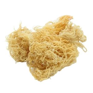 Musgo de mar seco a granel: ¡de origen sostenible, sin OGM y de alto valor nutricional! - Product Image 5