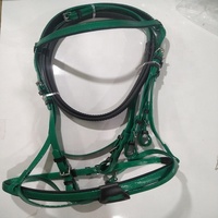 Bride de cheval de course étanche en PVC, étal jaune, prix de gros, bride de cheval en Nylon de haute qualité avec rênes assortis