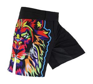 Shorts MMA personnalisés avec impression par sublimation, légers, extensibles, lavés, respirants, pour l'entraînement, la lutte, la boxe, la salle de sport - Product Image 2