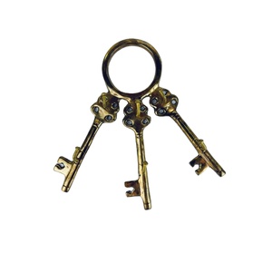 Door Hanging Brass Hooks and <b>Holder</b> Hanging Organizer Office <b>Key</b> <b>Wall</b> Mounted Hanger Hook Display Rails <b>Key</b> Shape Gold Color - Product Image 1