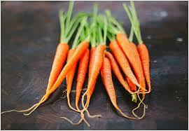 Zanahoria congelada de calidad superior al mejor precio al por mayor de proveedores vietnamitas - Product Image 2