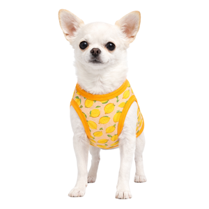 Chaleco Refrigerante para Perros, Camiseta Refrigerante para Mascotas de Verano, Transpirable, Ligera, de Tela Helada, Chaleco para Aliviar el Calor - Product Image 1