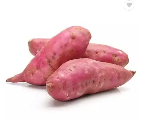 Cheap Price Sweet Potatoes Top Product from Vietnam