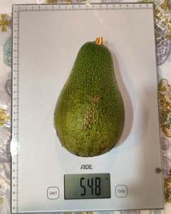 Aguacates Hass Frescos Premium |   Calibre 12/14/16/18/20/22 |   Cargas de Contenedores a Granel |   FOB/CIF - Product Image 2