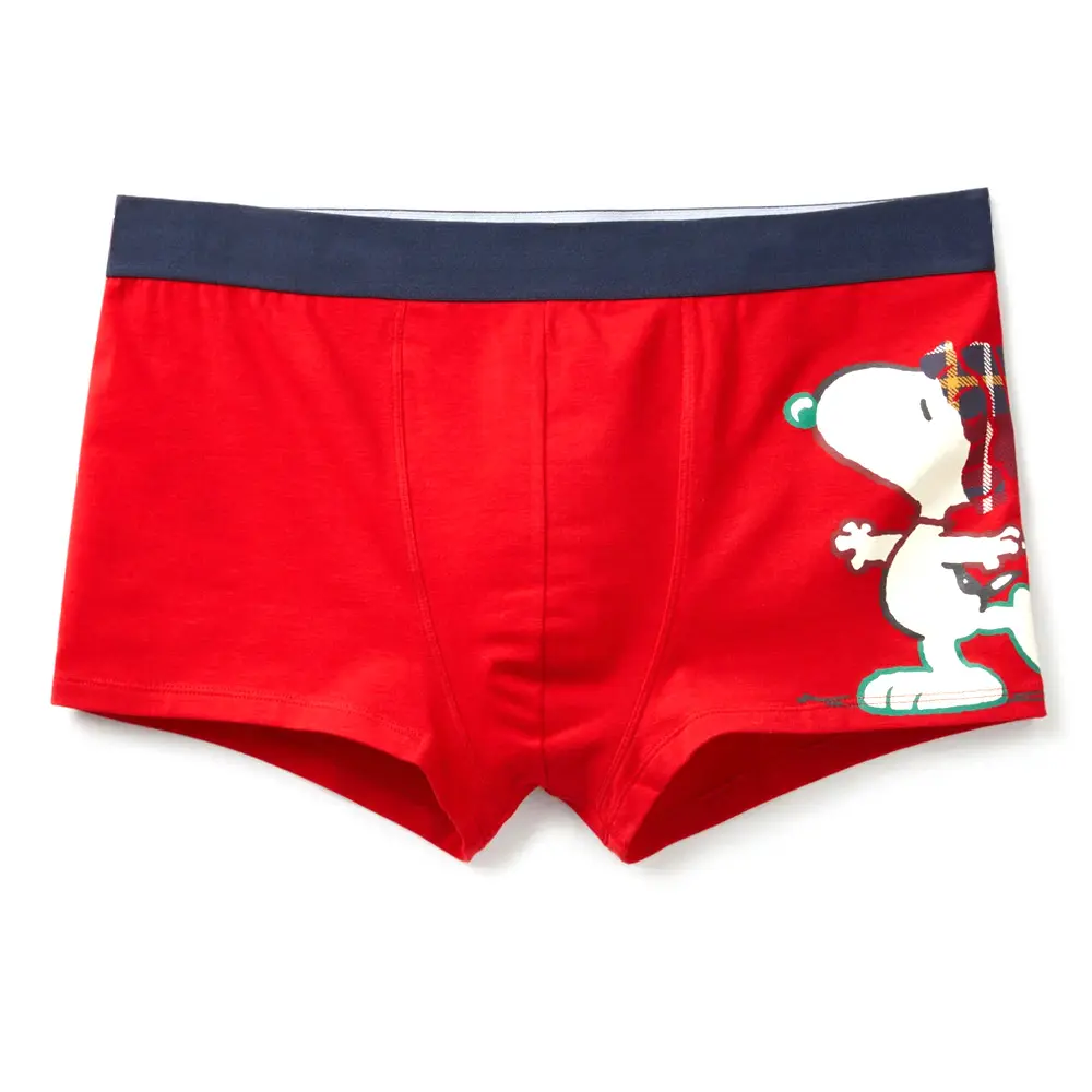 Wholesale Custom Boxers Briefs OEM Design Your Own Brand Logo Men Underwear Cotton Sports Men Underwear