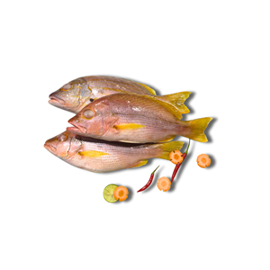 Poisson rouge congelé entier de haute qualité à bas prix, vente en gros de fruits de mer - Product Image 2