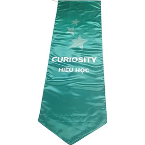 Satin <b>Banner</b> Curiosity Digital Printed Hanging Flag for Back to School <b>Graduation</b> - Product Image 1