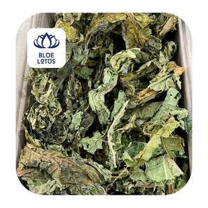 Hojas de Papaya secas, té de Ceilán, Carice - Product Image 2