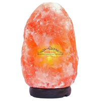 Lampe au sel de roche de l'Himalaya écologique la plus vendue avec base en bois de style Feng Shui sculptée pour la décoration intérieure