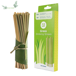 Pajitas de césped natural desechables de Eco2go Vietnam, papel ecológico y material de PC, accesorios de barra en caja de embalaje - Product Image 1