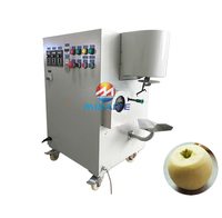 Fabrieksprijs Appel Sinaasappel Peer Schilmachine Automatische Industriële Fruitschiller Machine
