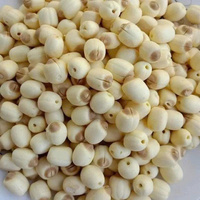 VENTE EN GROS GRAINES DE LOTUS CONGELÉES APPROVISIONNEMENT EN VRAC ALIMENTS SAINS NATURELS DE QUALITÉ SUPÉRIEURE HOT DEAL PRODUIT D'EXPORTATION PRINCIPALES VENTES