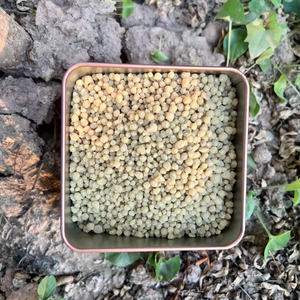 Superphosphate triple de haute qualité, granulaire, blanc jaune, TSP (R)-33-Bis(246-triisopropylphenyl)-11-binaphthyl-2,2-diyl - Product Image 2