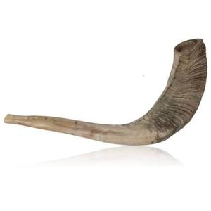 Corne de buffle pour la décoration de la maison corne de boisson Viking de meilleure qualité avec forme naturelle à un prix raisonnable - Product Image 6