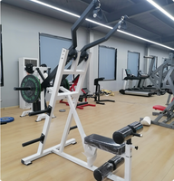 Machine à tirer les lombaires indépendante PowerX à charge libre pour l'entraînement musculaire du dos
