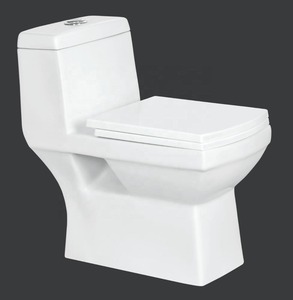 Chine Fournisseur Sanitaire Salle De Bains Produits-EWC Céramique One-Piece Water Closet, Indian Factory Asian Toilette, Meilleure Qualité - Product Image 2
