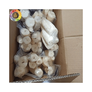 Cubos de Yuca Congelados IQF de Alta Calidad, Yuca Pelada de Vietnam, Exportación a Granel, Yuca Fresca Congelada para Negocios Mayoristas - Product Image 1